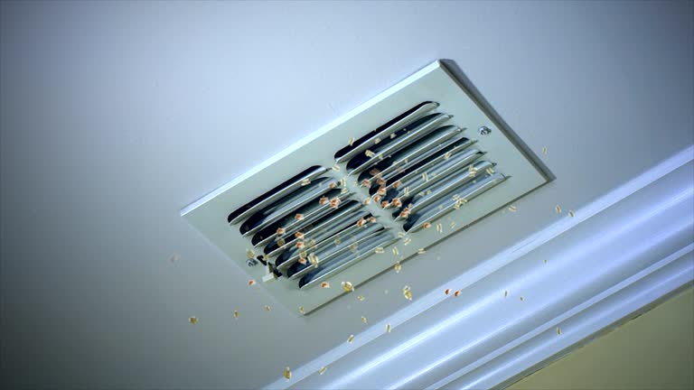 Best HVAC Air Duct Cleaning  in Ke Providence, LA